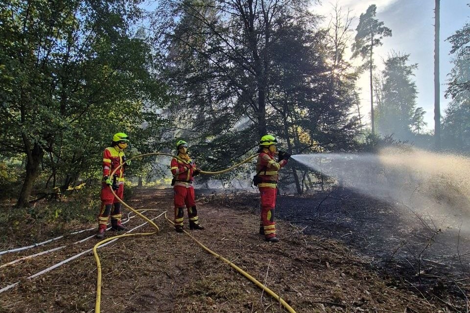26-105 - Brand Wald Alzenau / Rodenbach